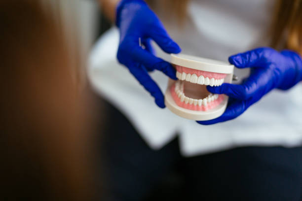 Best Preventive Dentistry  in Stockton University, NJ
